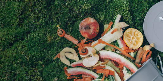 Recent Developments in Australia's Circular Economy Initiatives
