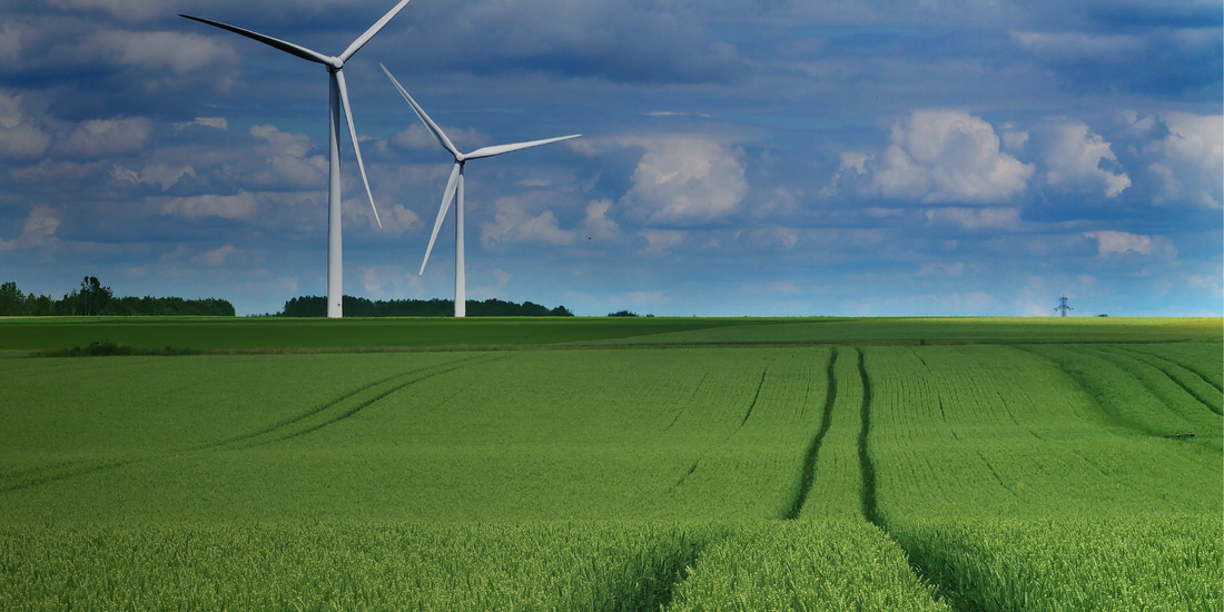 How to Become Circular in 2025: A Guide for Businesses and Individuals